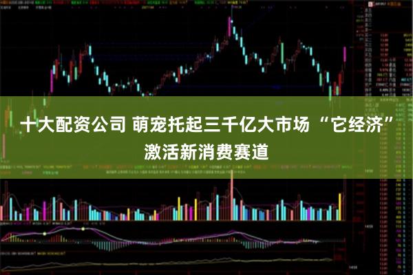 十大配资公司 萌宠托起三千亿大市场 “它经济”激活新消费赛道